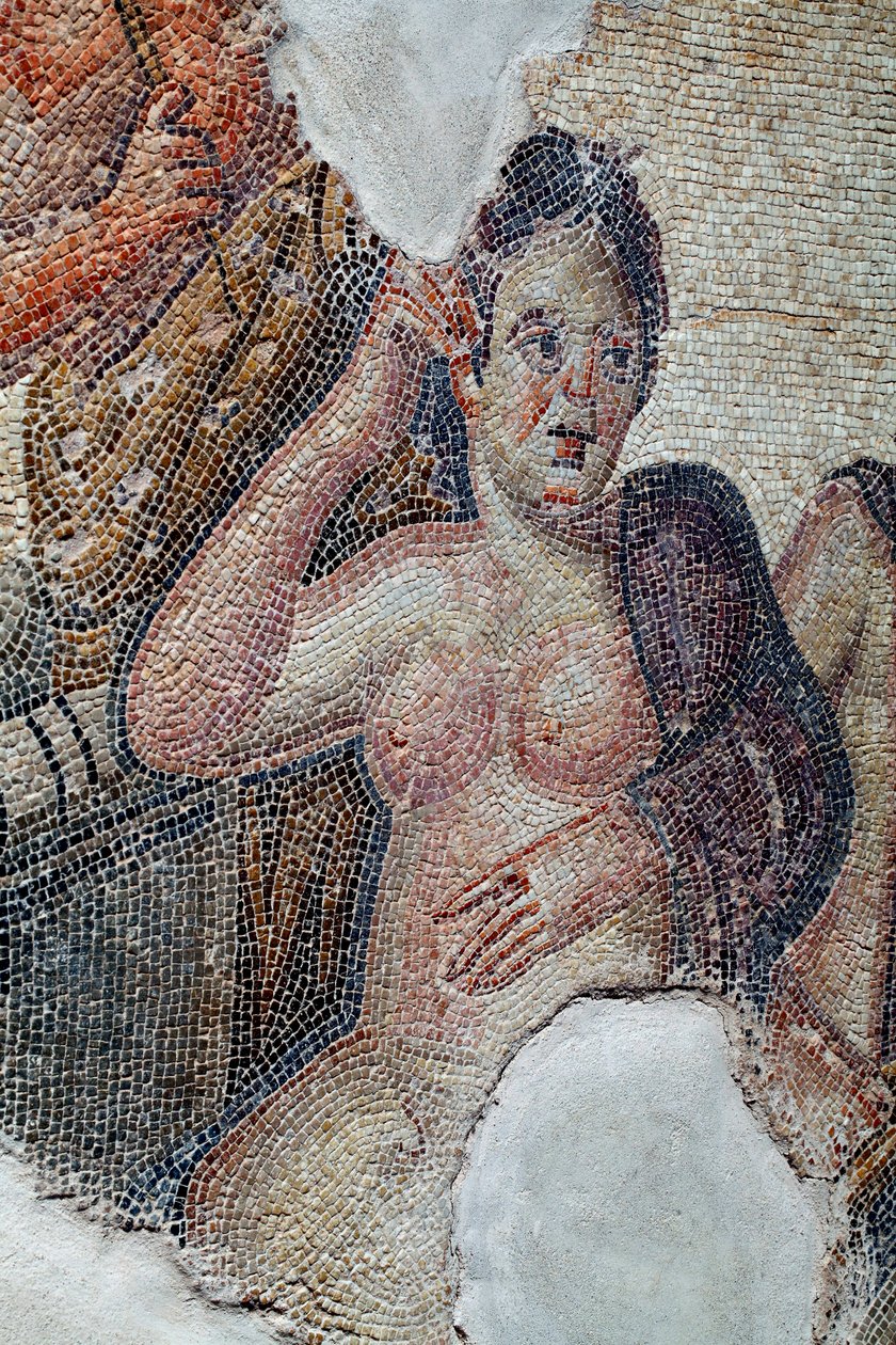 Detail desky zobrazující Lédu, královnu Sparty, ve společnosti lakédských dívek, jak se chystá vykoupat v řece Eurotas - blíží se k ní Zeus převlečený za labuť - Pafos Mosaics, House of Aion, 3. století n. l. - Kypr - D od Unbekannter Künstler