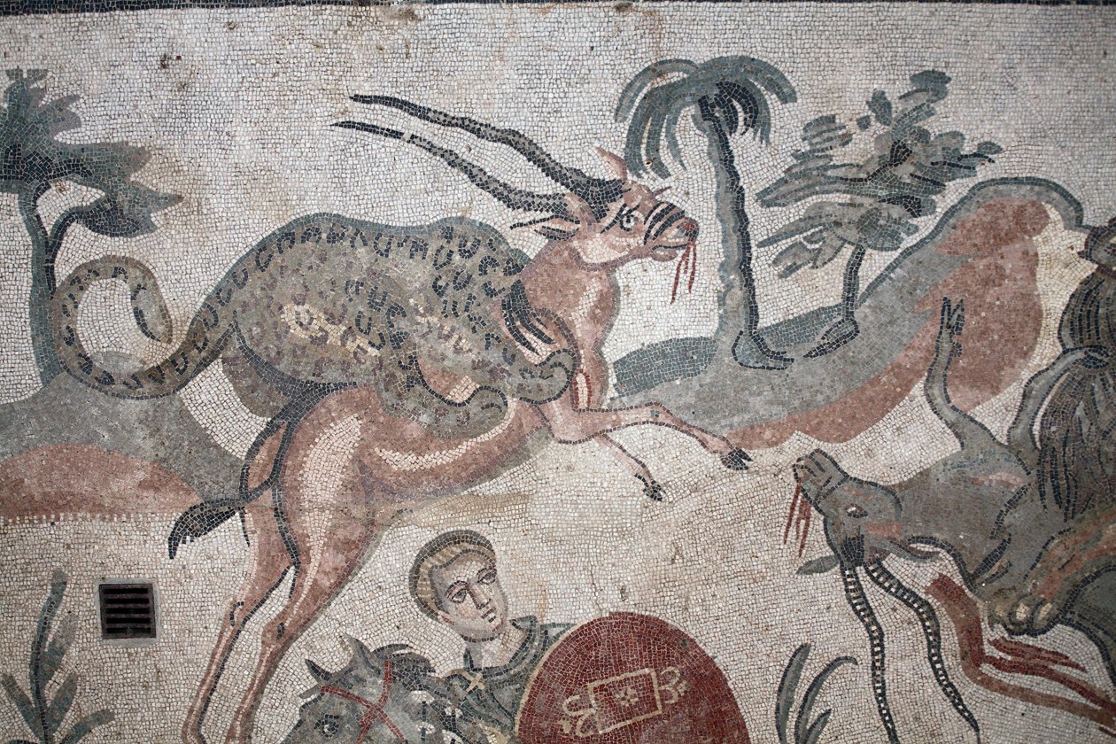 Detail mozaiky velkého lovu. Leopard útočící na gazelu. 3. - 4. století. Římská vila Casale, Sicílie. památka UNESCO. od William M. Timlin