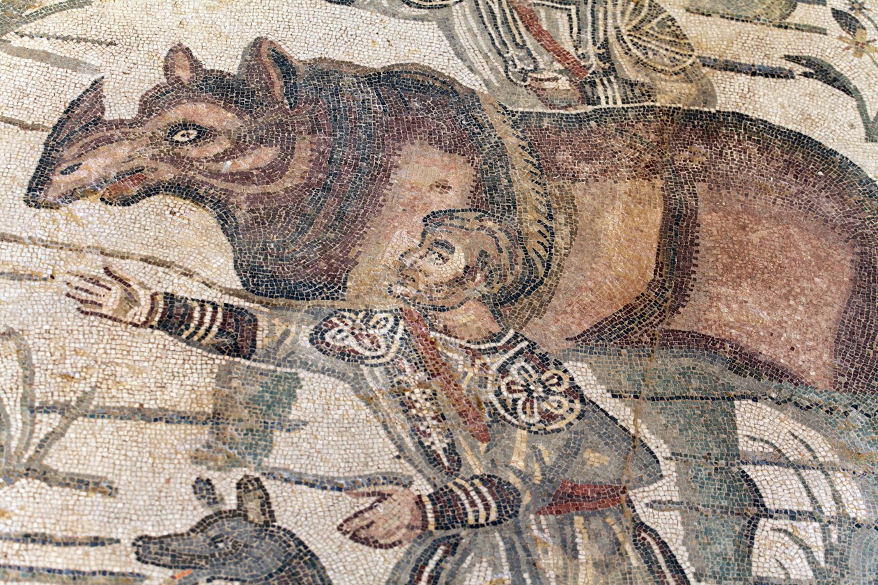Detail mozaiky velkého lovu. Nosorožec je naváděn na loď, která má být přepravena do nejbližšího přístavu. 3. - 4. století. Římská vila Casale, Sicílie. památka UNESCO. od William M. Timlin