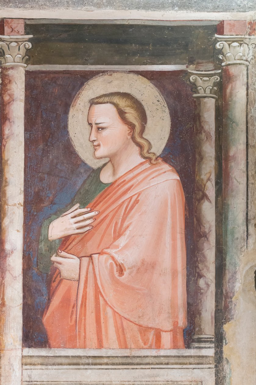 Esittely Praton katedraalimuseon holveissa, Italiassa od Unbekannter Künstler