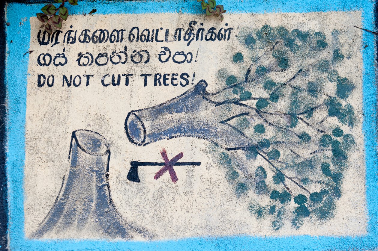 Ochrana životního prostředí; malovaný znak; „““ Nekácet stromy“““““ zobrazující pokácený strom a přeškrtnutou sekeru; Nuwara Eliya; Srí Lanka; Asie od Unbekannt