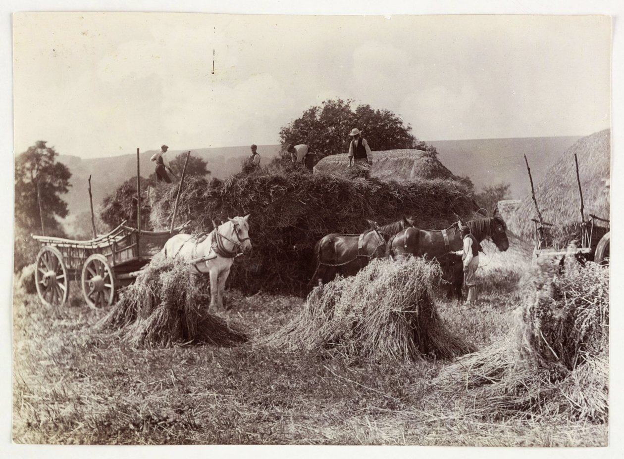 Zemědělské scény, sklizeň a skladování, sklizeň před rokem 1900, c 1890 od Unbekannt