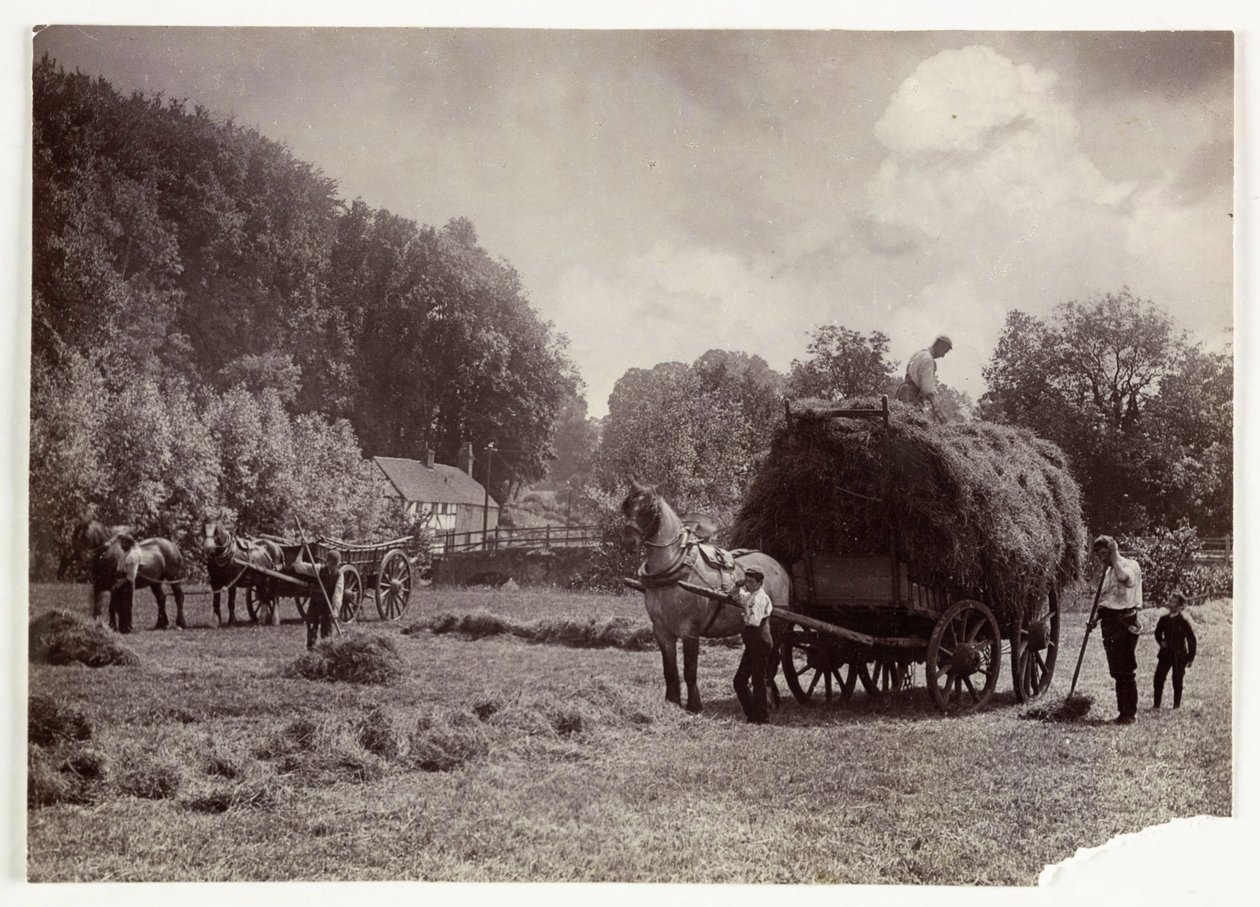 Zemědělské scény, sklizeň a skladování, senoseč před rokem 1900, c 1890 od Unbekannt