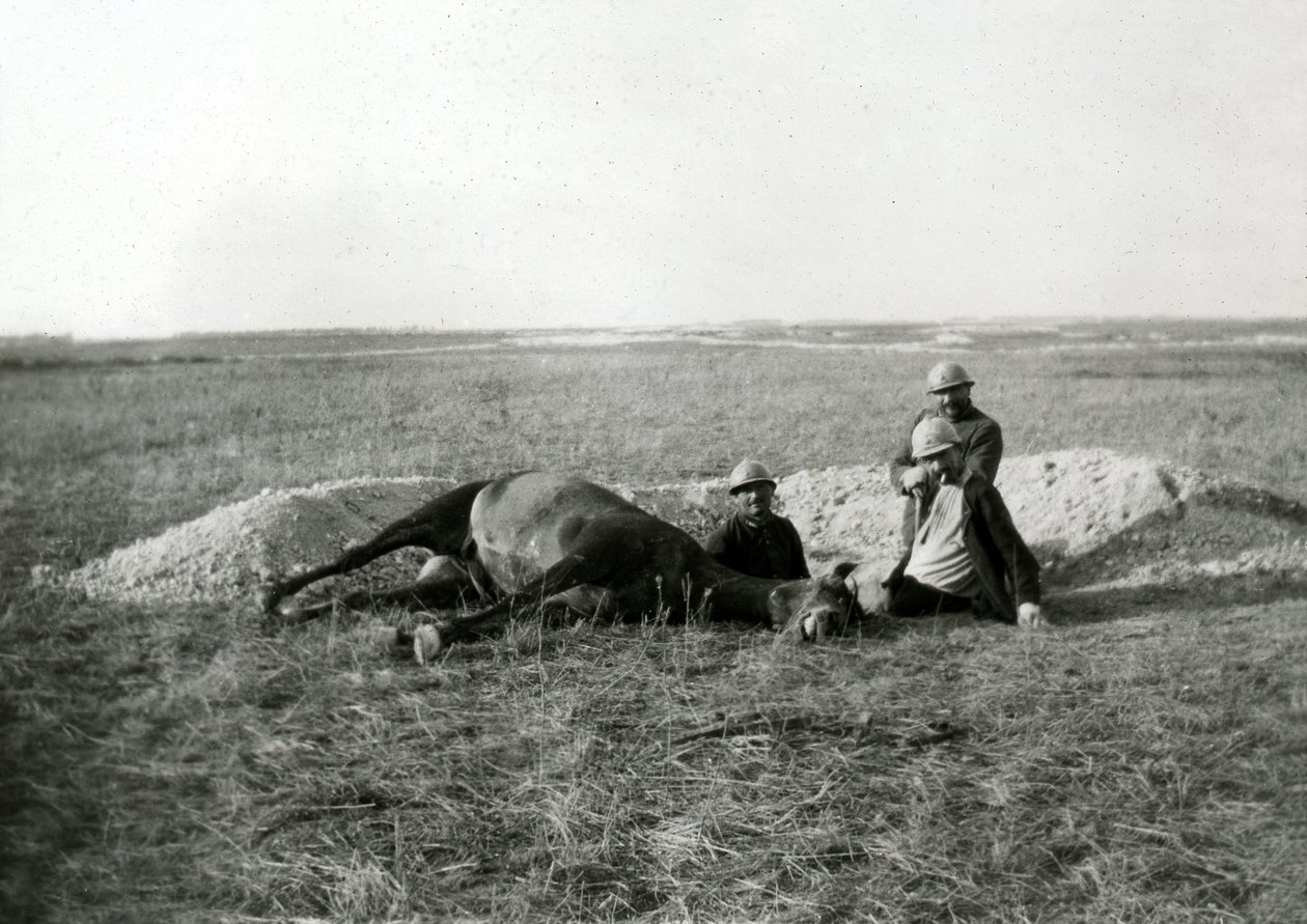 První světová válka 14-18 (1914-1918): tři francouzští vojáci pohřbívají mrtvého koně - fotografie na skleněné desce - od Unbekannter Künstler