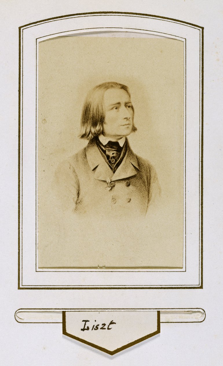Franz Liszt v mládí od Unbekannter Künstler