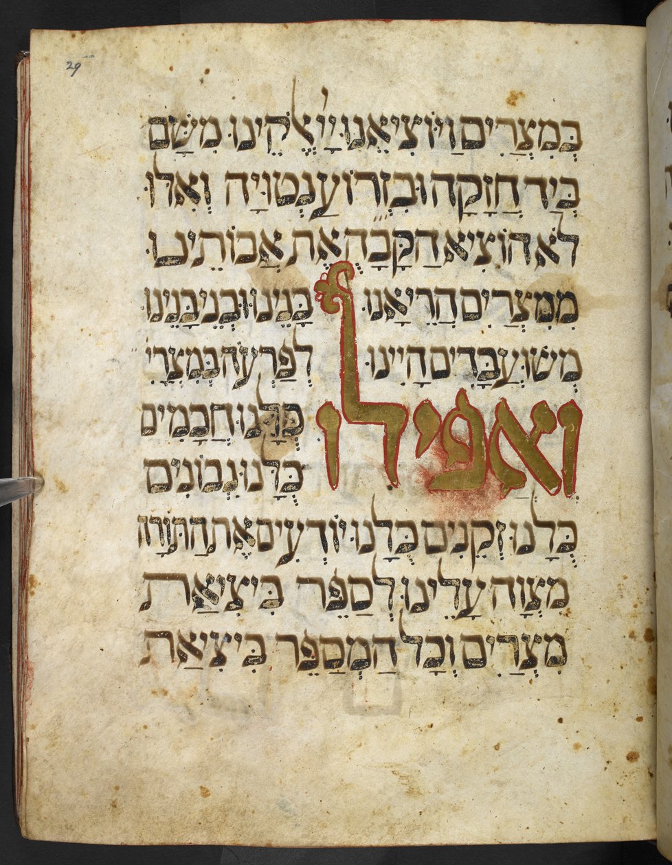 Zlaté písmo z Hagady pro Pesach („Zlatá Hagada“), část 1, 2. čtvrtina 14. století od Unbekannter Künstler