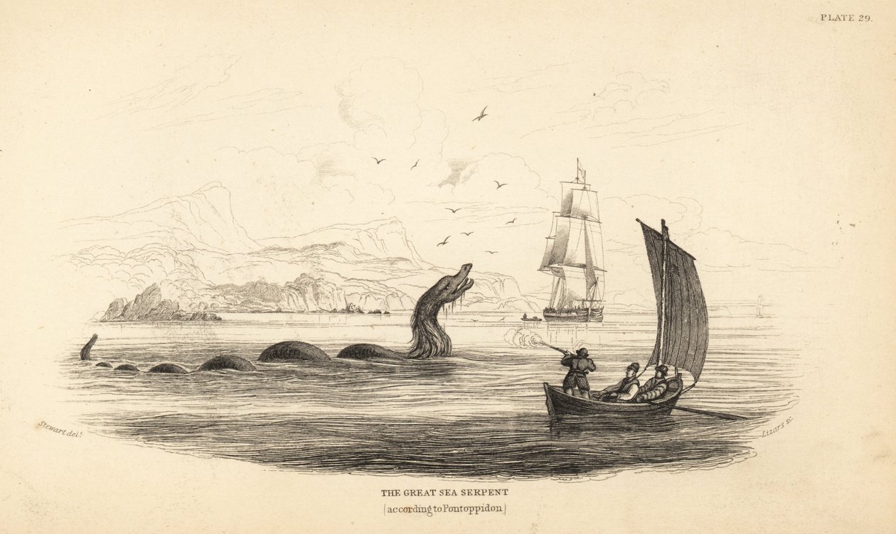 Velký mořský had, kterého v roce 1746 zastřelila posádka lodi Lawrence by Ferry. Popsán v knize biskupa Erika Pontoppidana Přírodní dějiny Norska. od Unbekannter Künstler