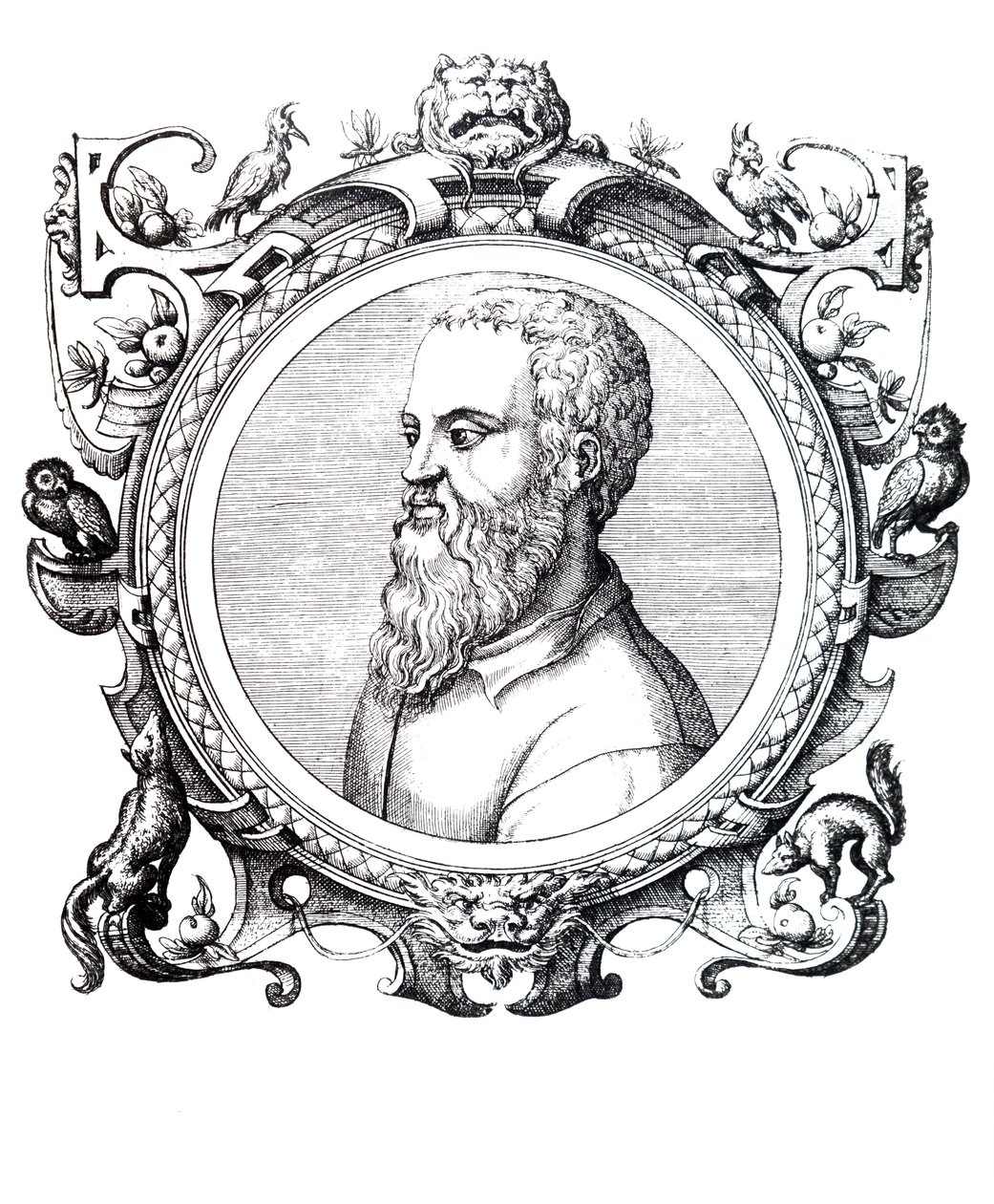 Guillaume Rondelet. od Unbekannt