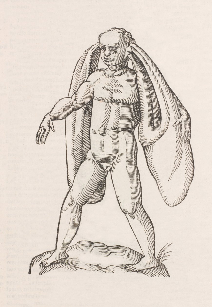 Homo fanesius auritus od Unbekannt