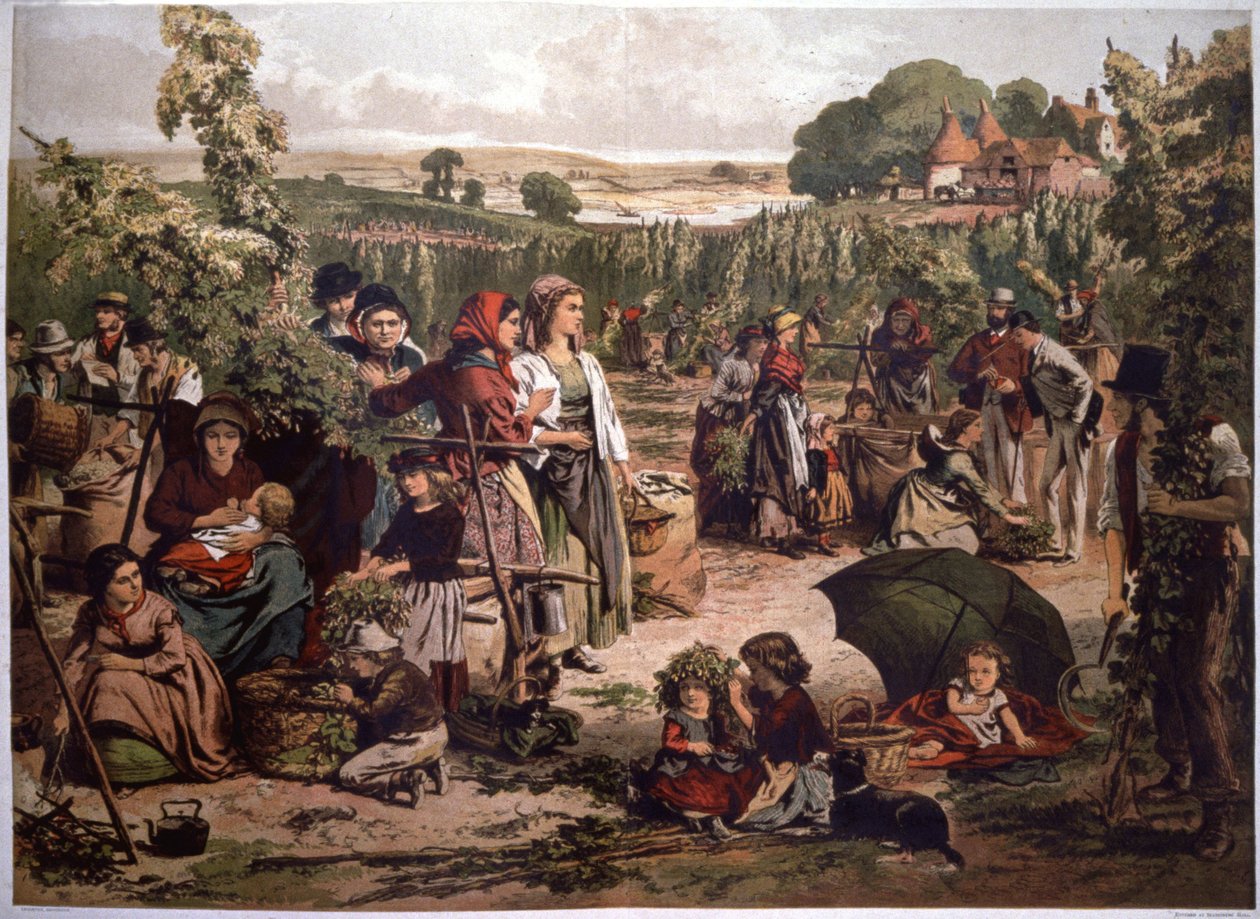 Sklízení chmele v Anglii, konec 19. století (ilustrace) od Unbekannter Künstler