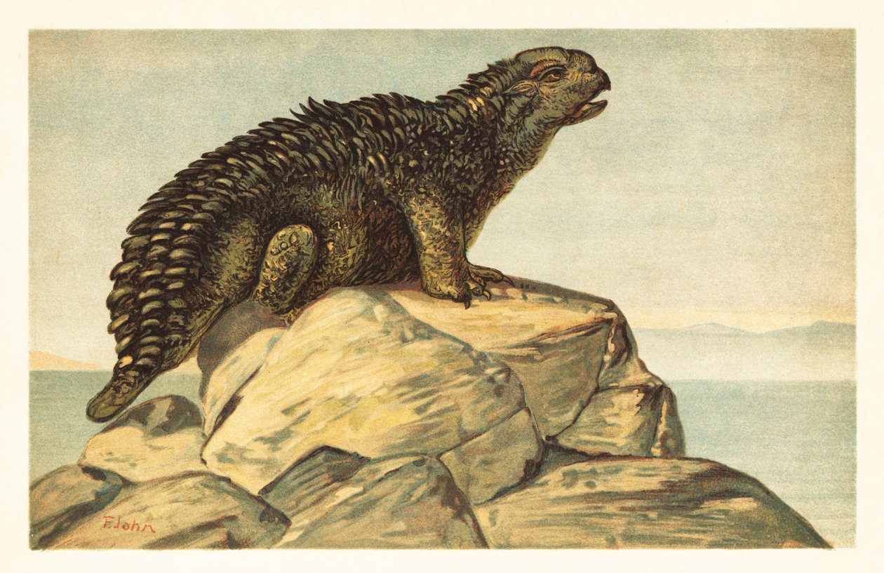 Hylaeosaurus armatus, vyhynulý býložravý ankylosauří dinosaurus 1908 (litografie) od Unbekannter Künstler