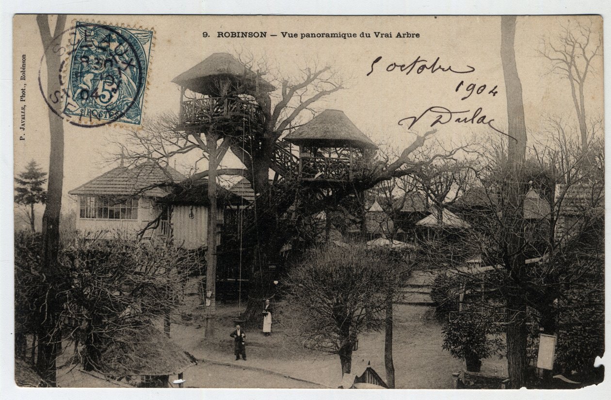 Ile de France, Hauts de Seine (92), Le Plessis Robinson (Le Plessis-Robinson): panoramatický pohled na „True Arbre“, guintu instalovanou na vrcholu kaštanu - Pohlednice z roku 1904 od Unknown