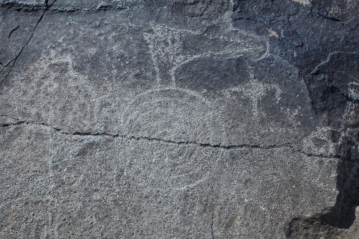 Indiánské Petroglyfy - Zvířecí a symbolické znázornění - Petroglyfní národní památka - Albuquerque, Nové Mexiko, USA (USA) od William M. Timlin