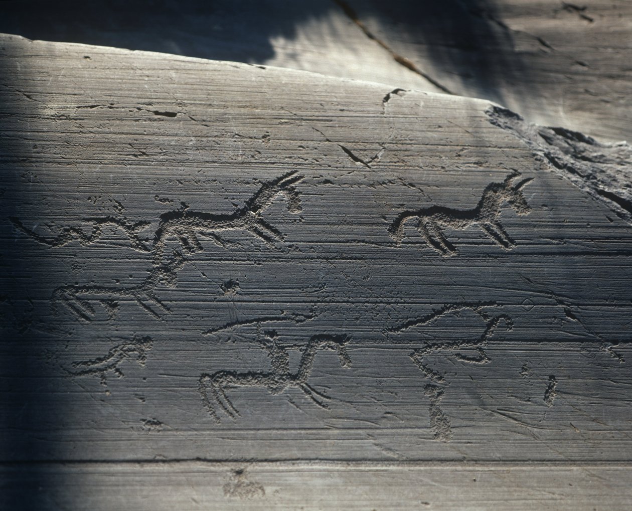 Itálie, Lombardie, údolí Camonica, petroglyfy na skále od Benjamin Baud