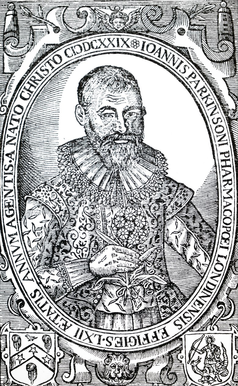 John Parkinson. od Unbekannt