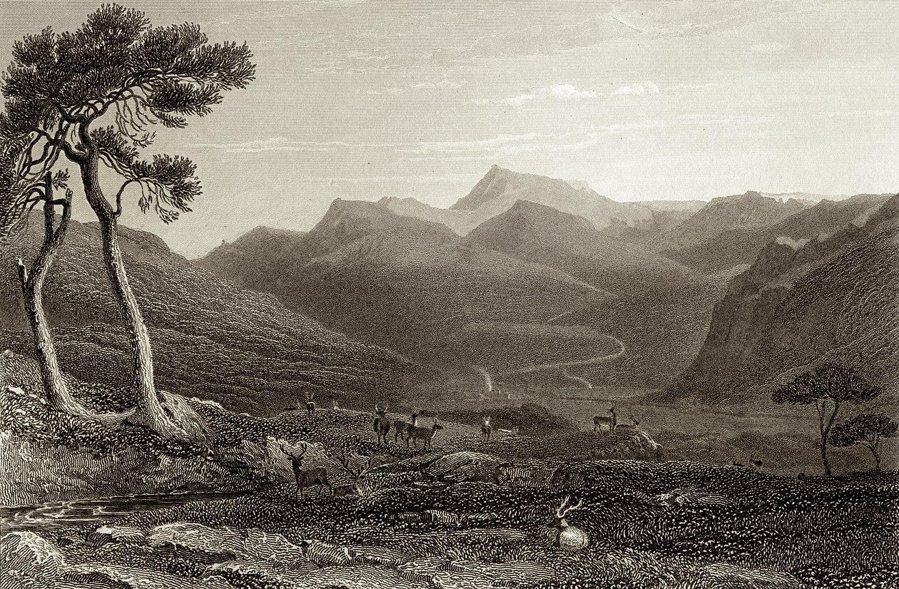 Lachin Y Gair od Unbekannter Künstler