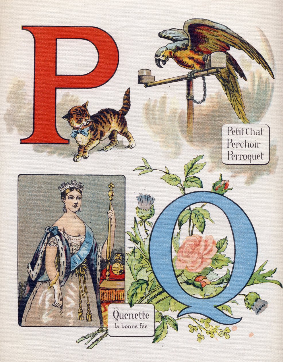 Písmeno P a Q: kočička, okoun, papoušek a quenet, správný honorář. Rytina v "ABC L