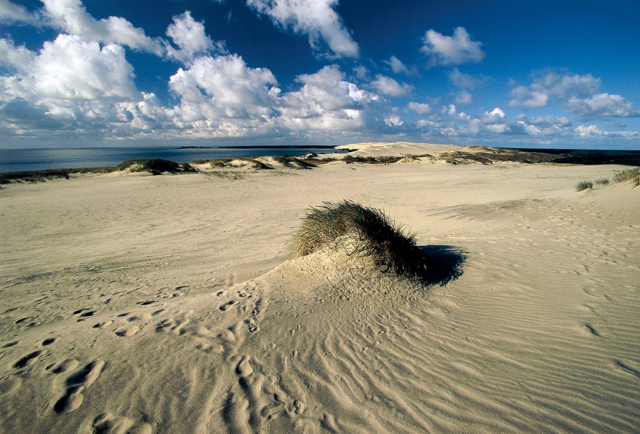 Litva, Klaipeda, Kurská kosa, Nida, pohyblivé písečné duny zvané Pruská Sahara od William M. Timlin