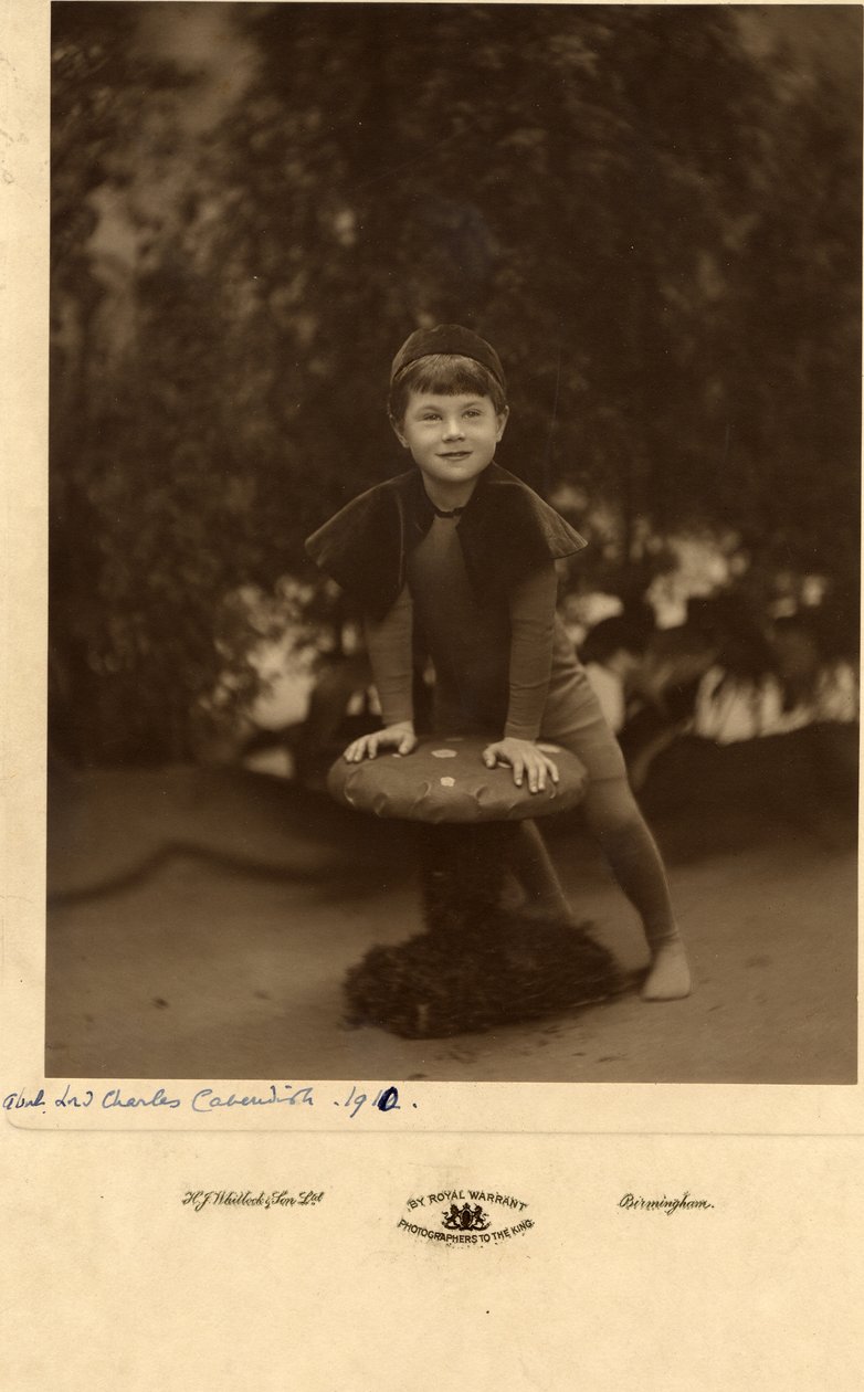 Lord Charles Cavendish od William M. Timlin