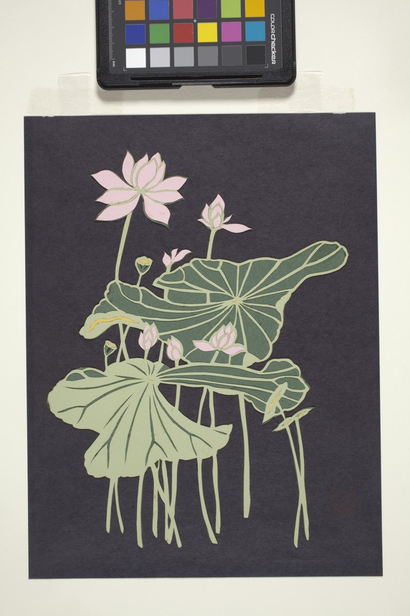 Lotus (vícebarevný řezaný papír) od Unbekannter Künstler