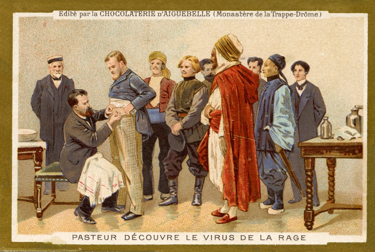Louis Pasteur objevuje virus vztekliny od Unbekannter Künstler