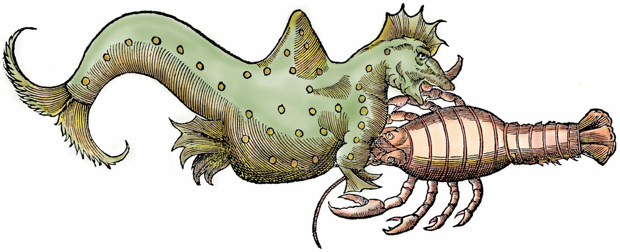 Mořský drak a obří korýš, xylografie převzata z "Paralipomena accuratissima historiae omnium animalium quae in voluminibus Aldrovandi desiderantur/Bartholomaeus Ambrosinus... summo labore collegit; Marcus Antonius Berna bibliopola bononiensis p od Unbekannter Künstler