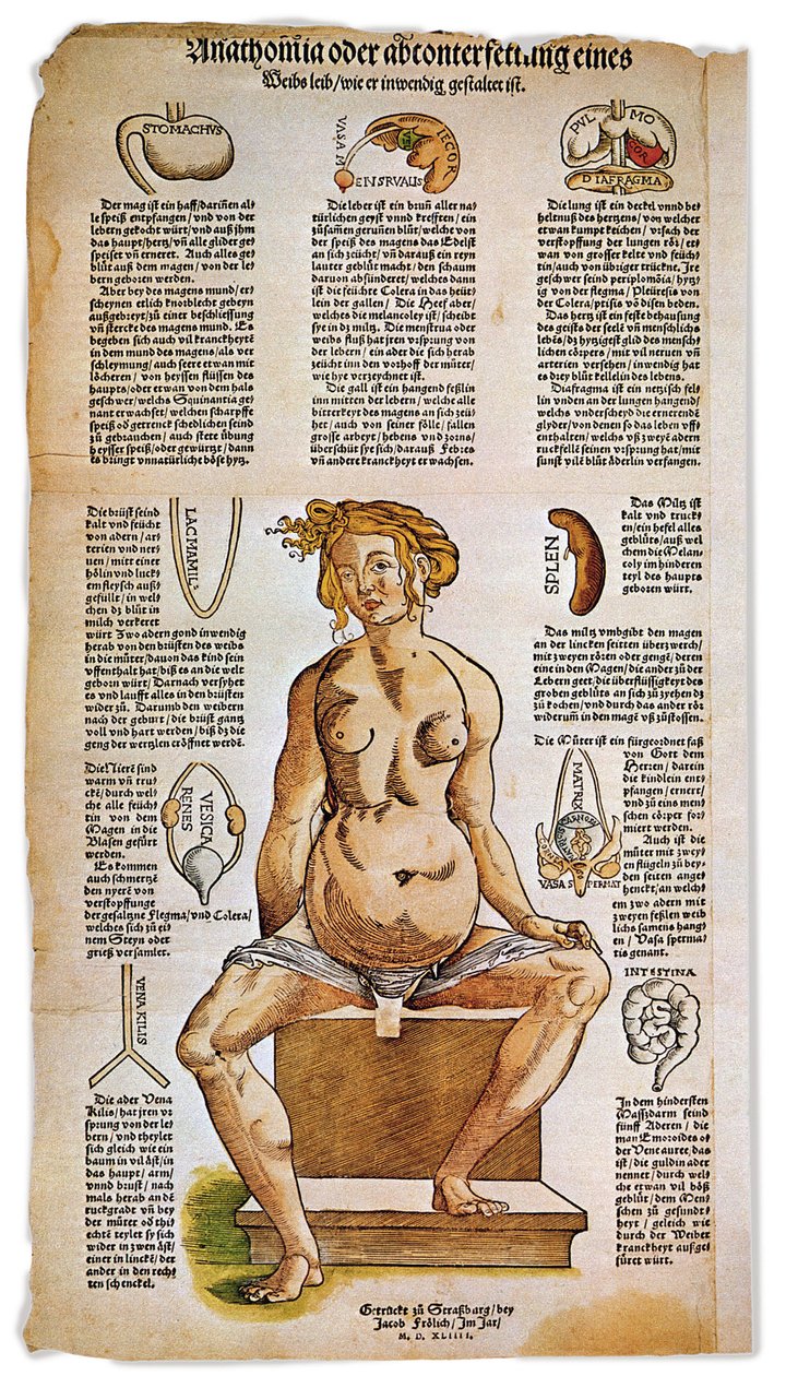 Medicína: anatomická tabule popisující ženskou anatomii z renesančního lékařského pojednání. Kolem postavy sedící ženy jsou uvedeny a znázorněny životně důležité orgány, jako jsou játra, plíce a bránice, žaludek a pohlavní ústrojí. Barevná rytina od Unbekannter Künstler