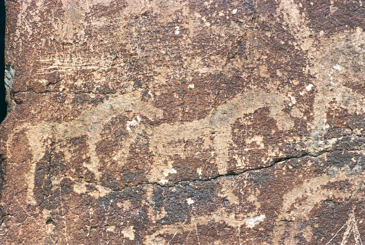 Mongolsko, poušť Gobi, skalní rytina od Benjamin Baud