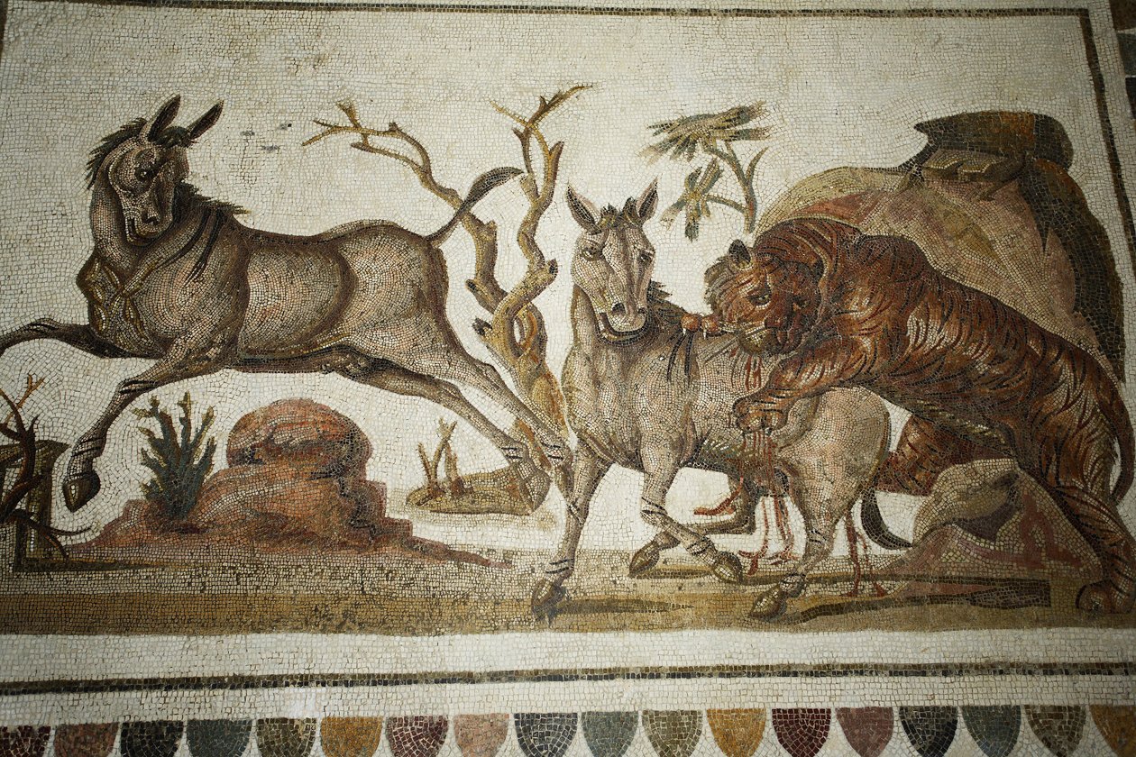 Mozaika zvířecích bojů: tygr napadl dva noční primagresy. II s AD/Musee d