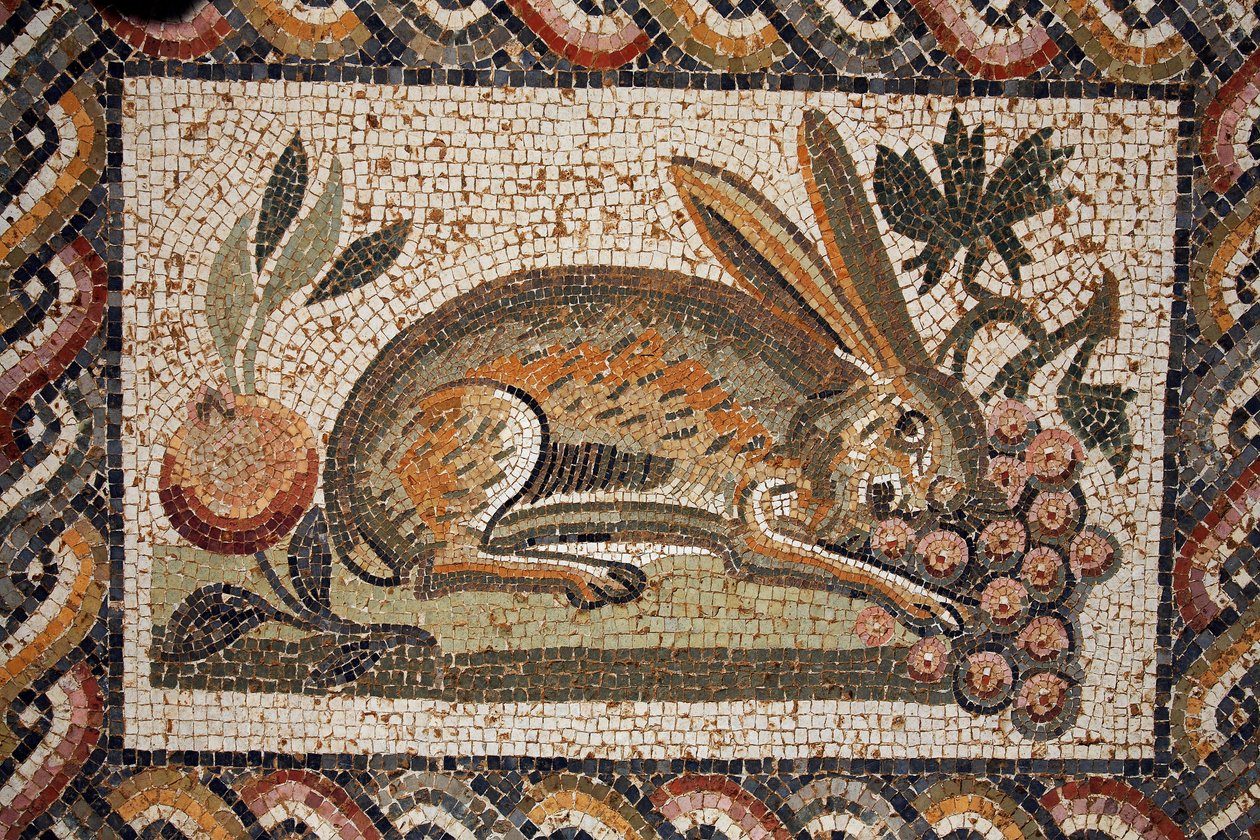 Mosaique představující zajíce se špionážním pohledem pasoucím se na hroznu (2. polovina 2. století n. l.)/in situ a El Jem (Antický Thysdrus)/Tunisko od Unbekannt