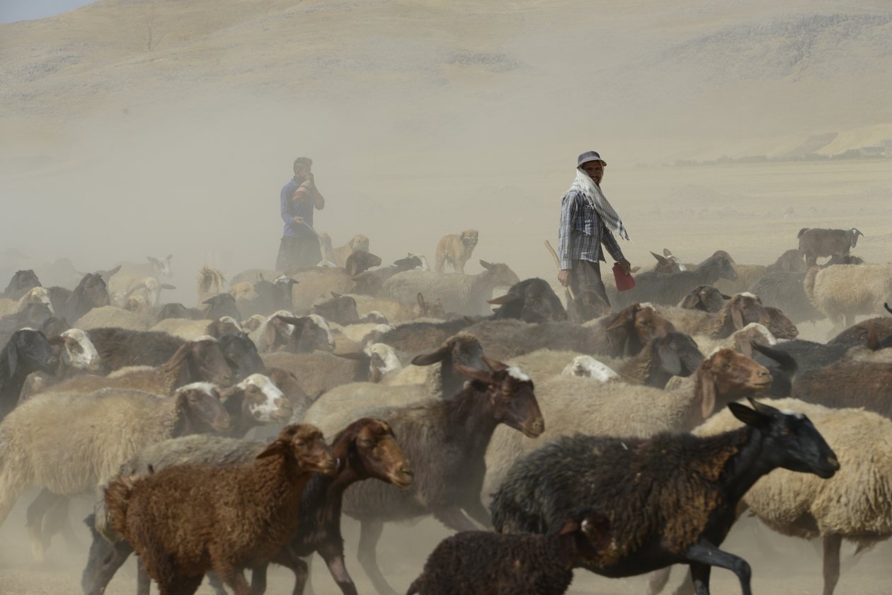 Nomádské stany mezi Tamar a Ashkhaneh, Írán 2022 (fotografie) od Unbekannter Künstler