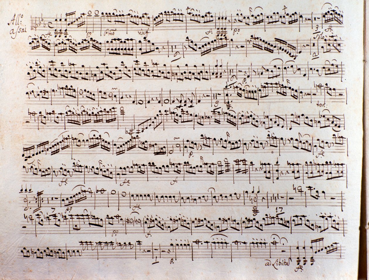 Strana hudební partitury Sinfonia concertante od Pleyela od Unbekannter Künstler