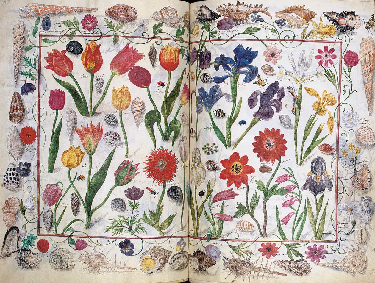 Stránky z alba Amicorum Philippa Hainhofera, 1596-1633 od Unbekannt