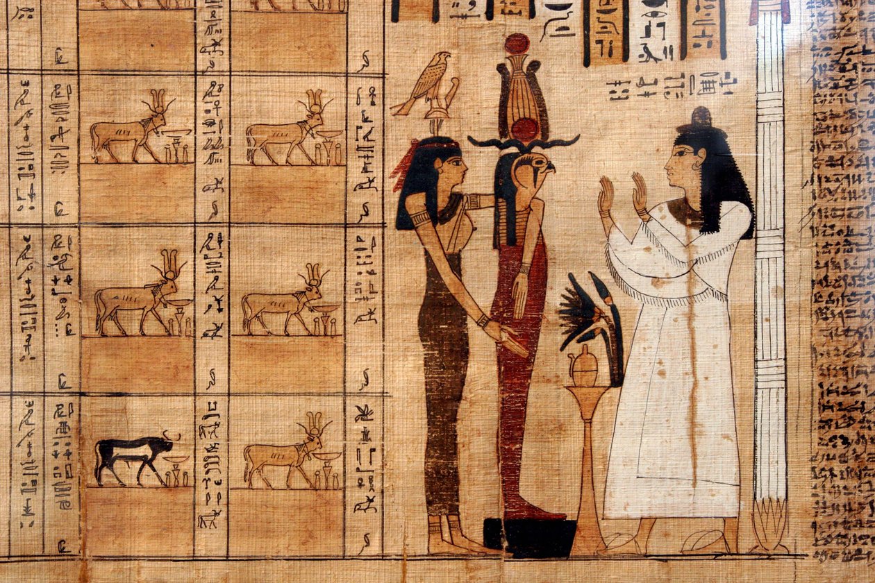 Papyrus z knihy mrtvých, Egyptské muzeum, Turín od Unbekannt