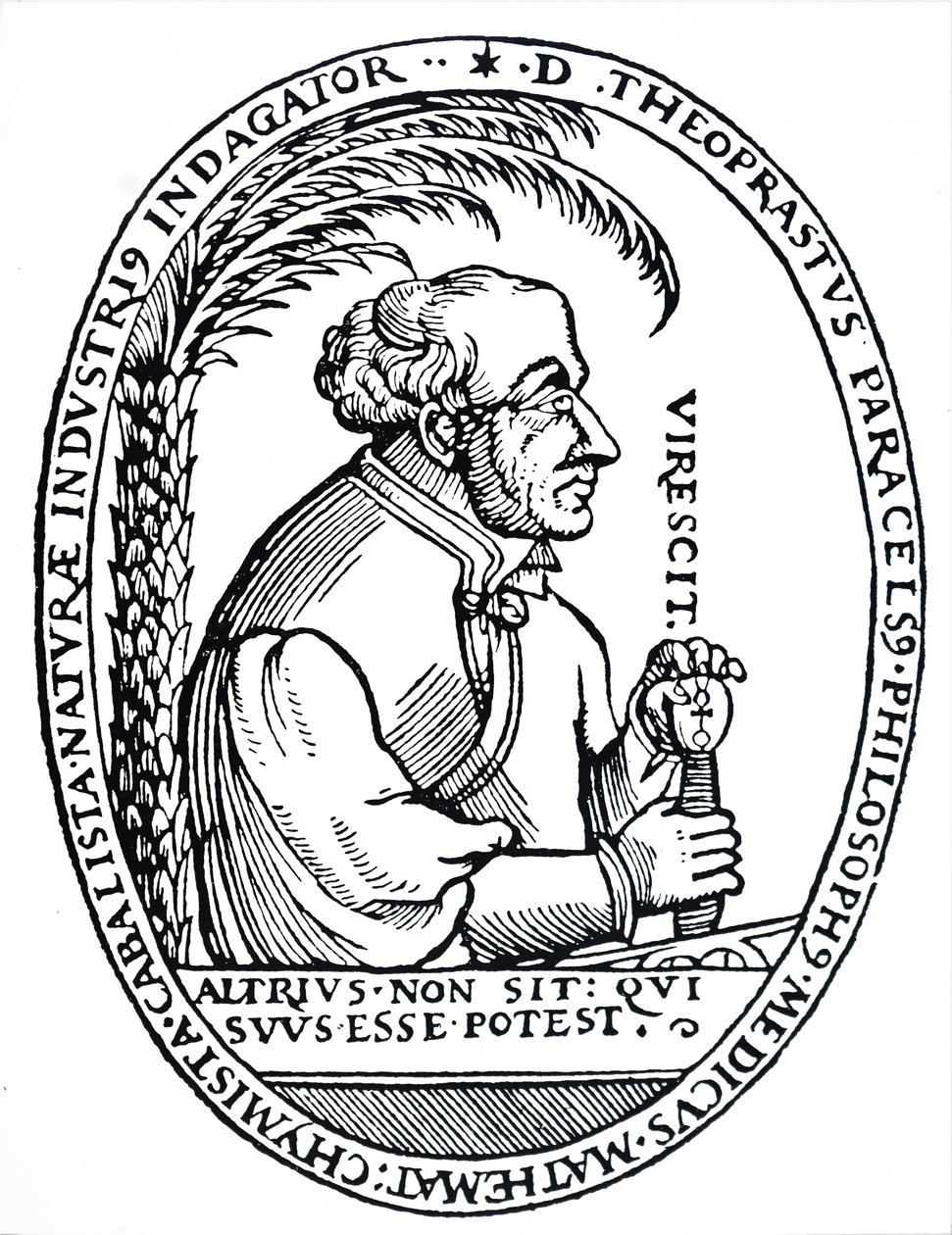 Paracelsus. od Unbekannt