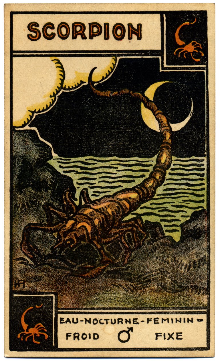 Paranormální. Astrologie. Štír (Štír). Astrologická karta od: Le Tarot Astrologique (Astrologický tarot), Georges Muchery, Francie od Unbekannter Künstler