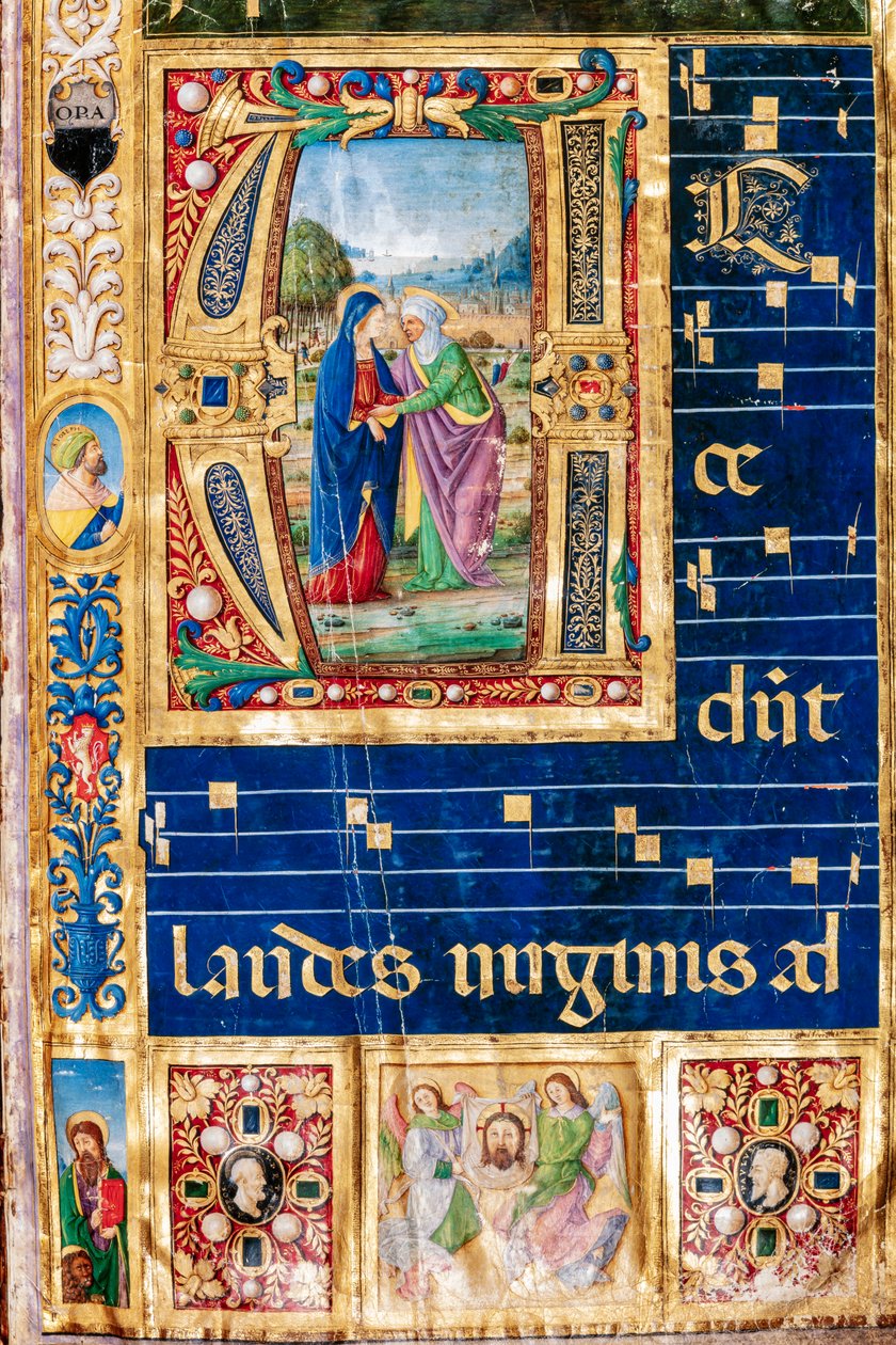 Piccolomini Library: Choir Book, cod. 14.P., násl. 2r s „Navštívením Marie a Panny Marie“. Alžběty od Giovanniho di Giuliana Boccardiho, známého jako Boccardino starší. Detail. od Unbekannter Künstler