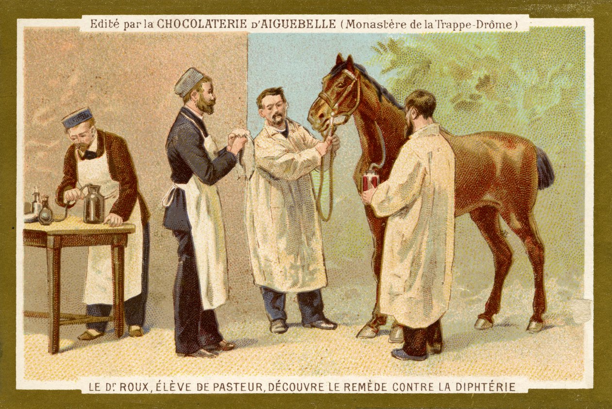 Pierre Paul Émile Roux od Unbekannter Künstler