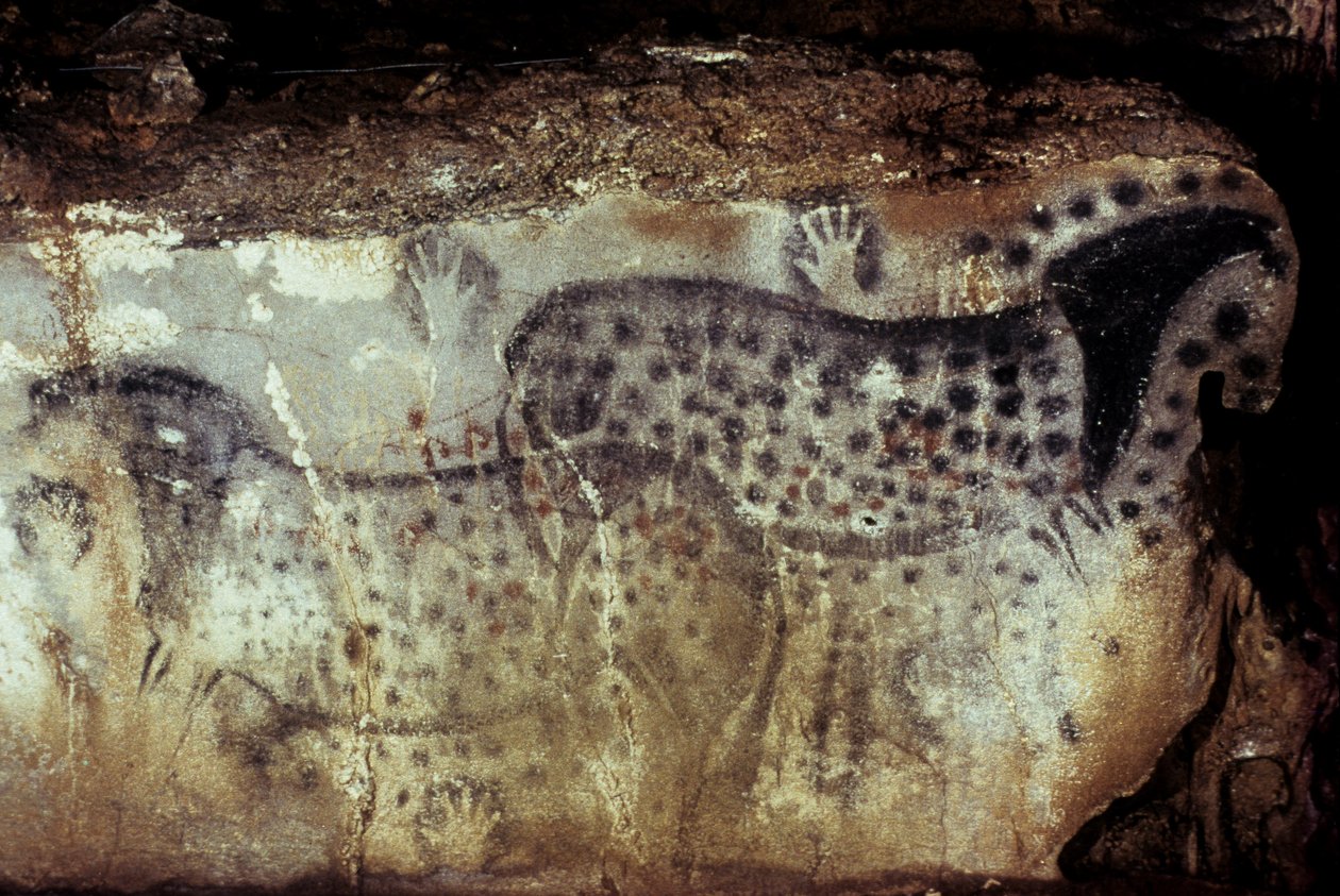 Prehistorická jeskyně Pech Merle/Spotové koně a negativní ruce/25 000 let/Cabrerets/Lot/Midi Pyreneje/Francie od Unbekannt