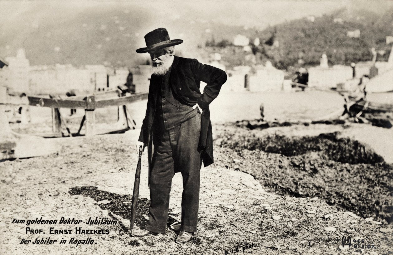 Profesor Ernst Haeckels v Rapallo, Itálie (č/b foto) od Unbekannt