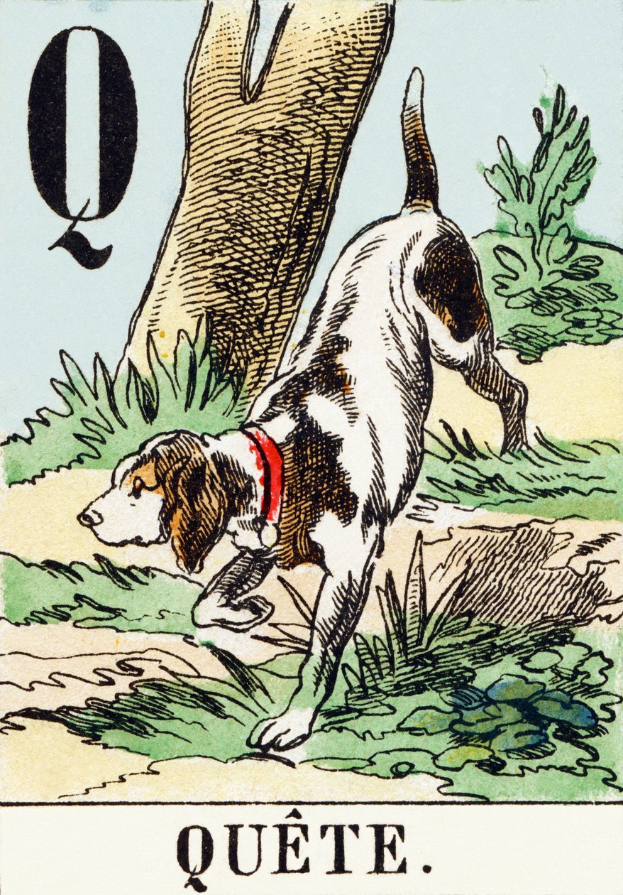 Q : Quete - AThe Hunting Alphabet, c.1890 (rytina) od Unbekannt