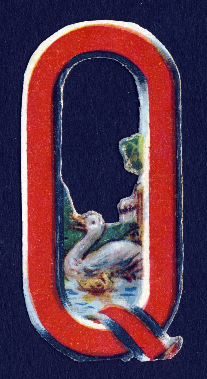 Q jako Quack . Beetle decoupis na téma zvířata. Rytina. Série 26 vaflových chromolitografů anglického původu. Editor a ilustrátor neznámý. Konec 19. století. Rozměr: 5,5 x 3,5 cm od Unbekannt