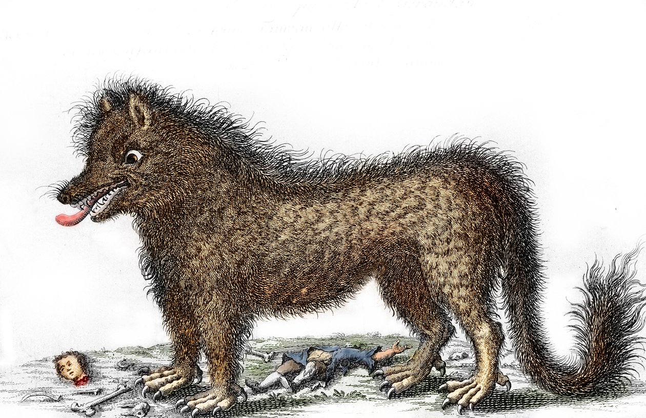 Vyobrazení bete of Gevaudan, kosti jeho obětí rozházené kolem nohou Rytina kolem roku 1764 (Gevaudanská bestie na vyobrazení z roku 1764) Soukromá sbírka od Unbekannter Künstler