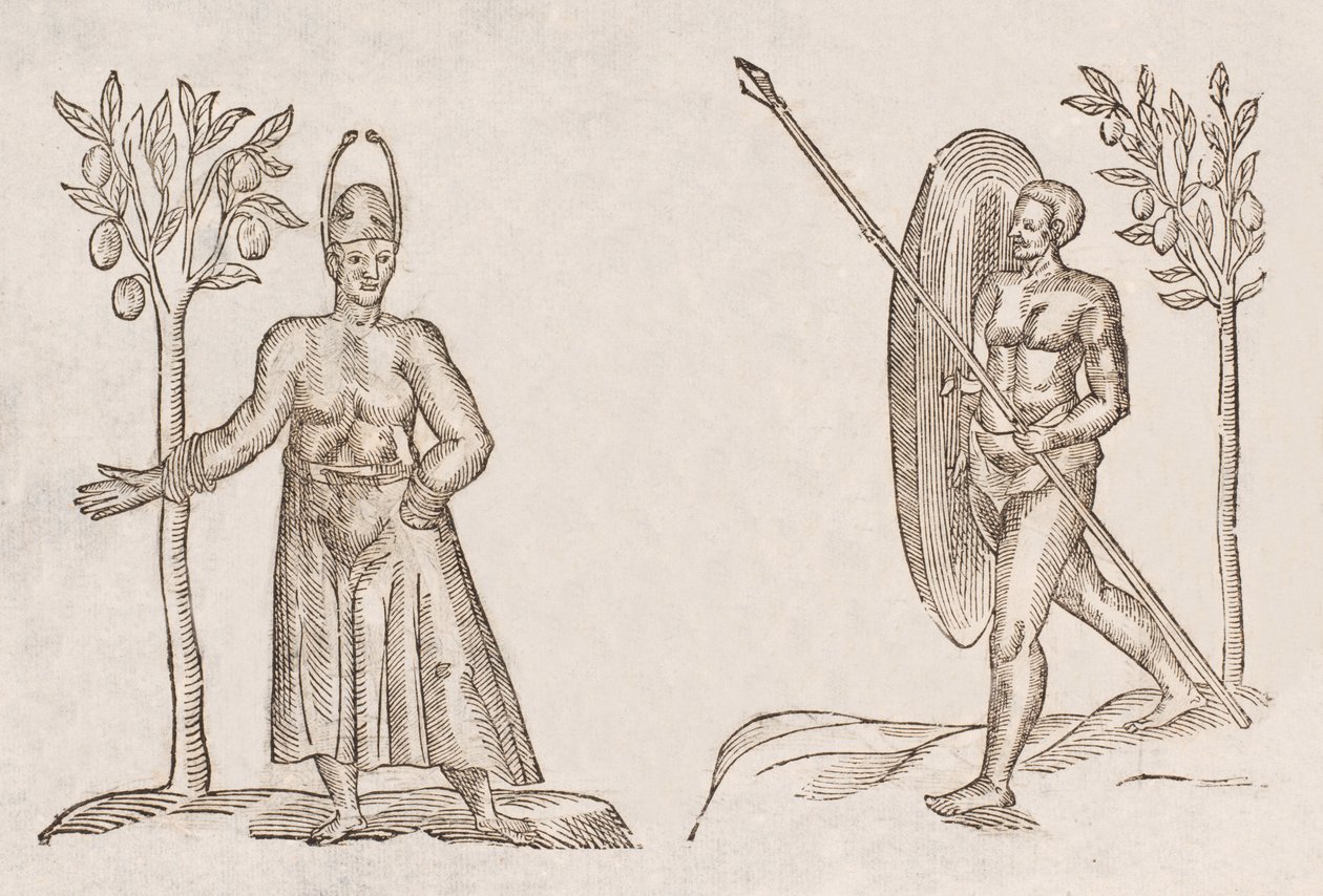 Rex Sinus Antongil & Miles Sinus Antongil od Unbekannt