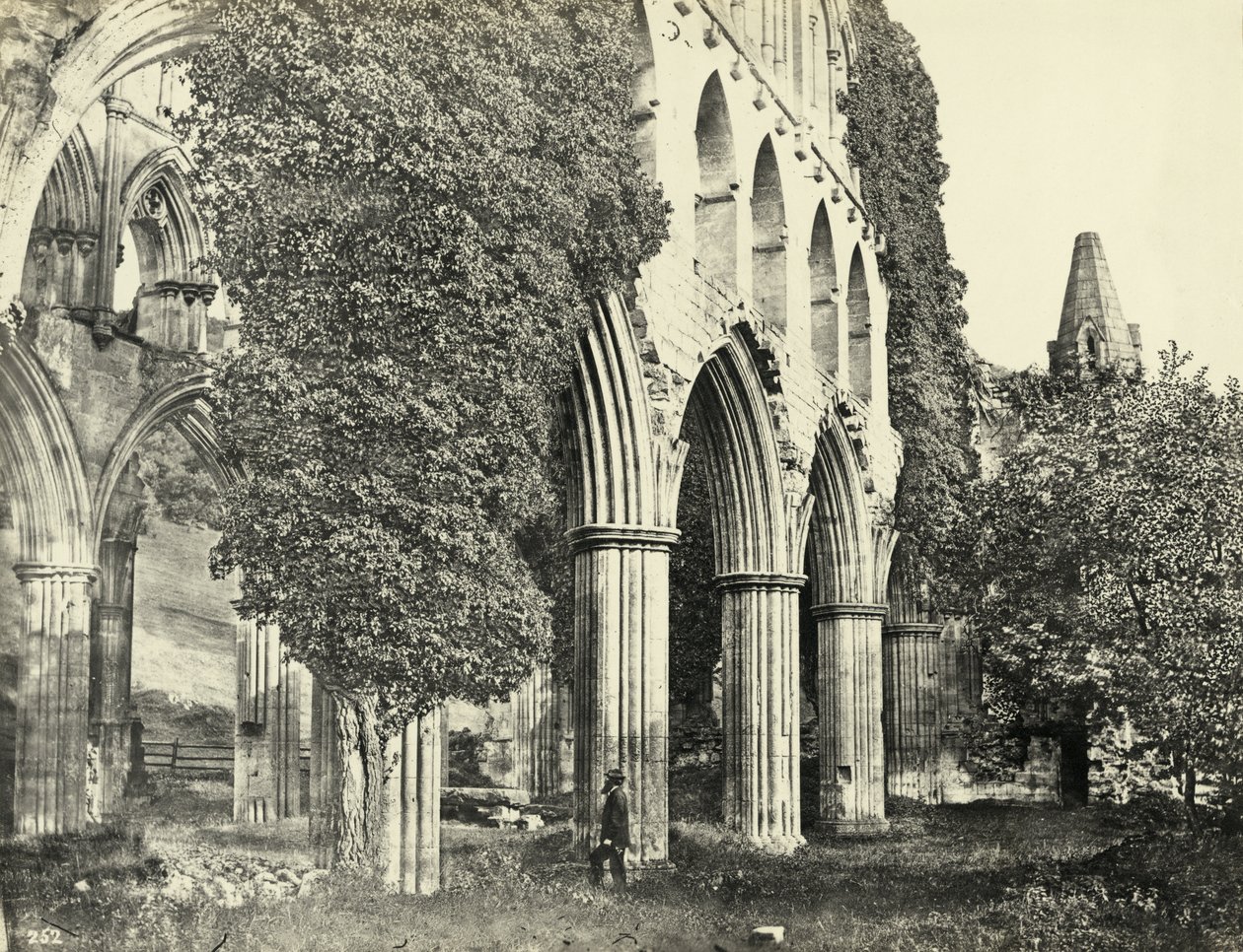 Rievaulx Abbey, North Yorkshire, Velká Británie (černobílá fotografie) od Unbekannter Künstler