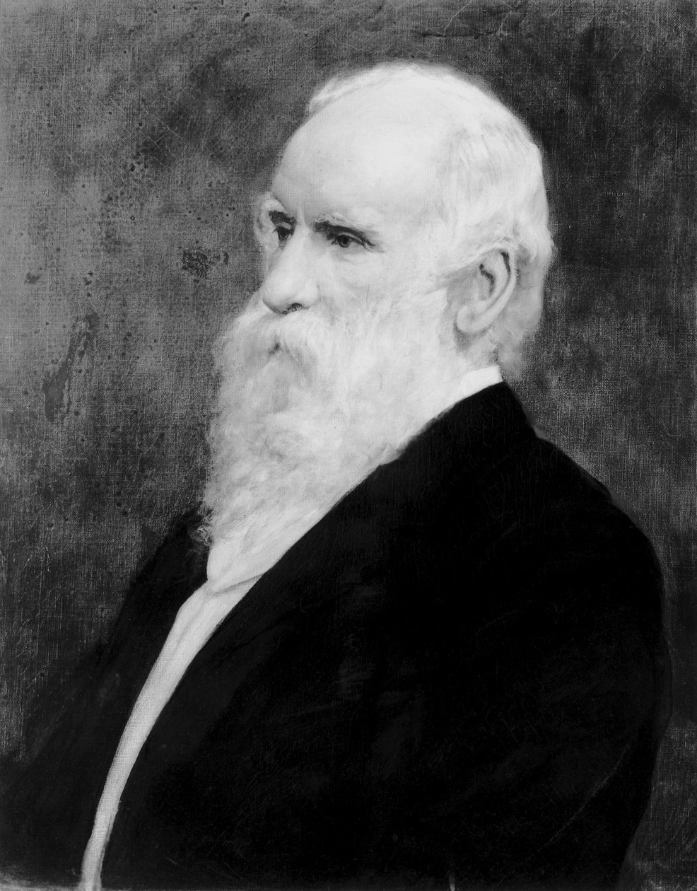 Robert Stirling Newall , anglický inženýr a astronom, c 1875 od Unbekannt