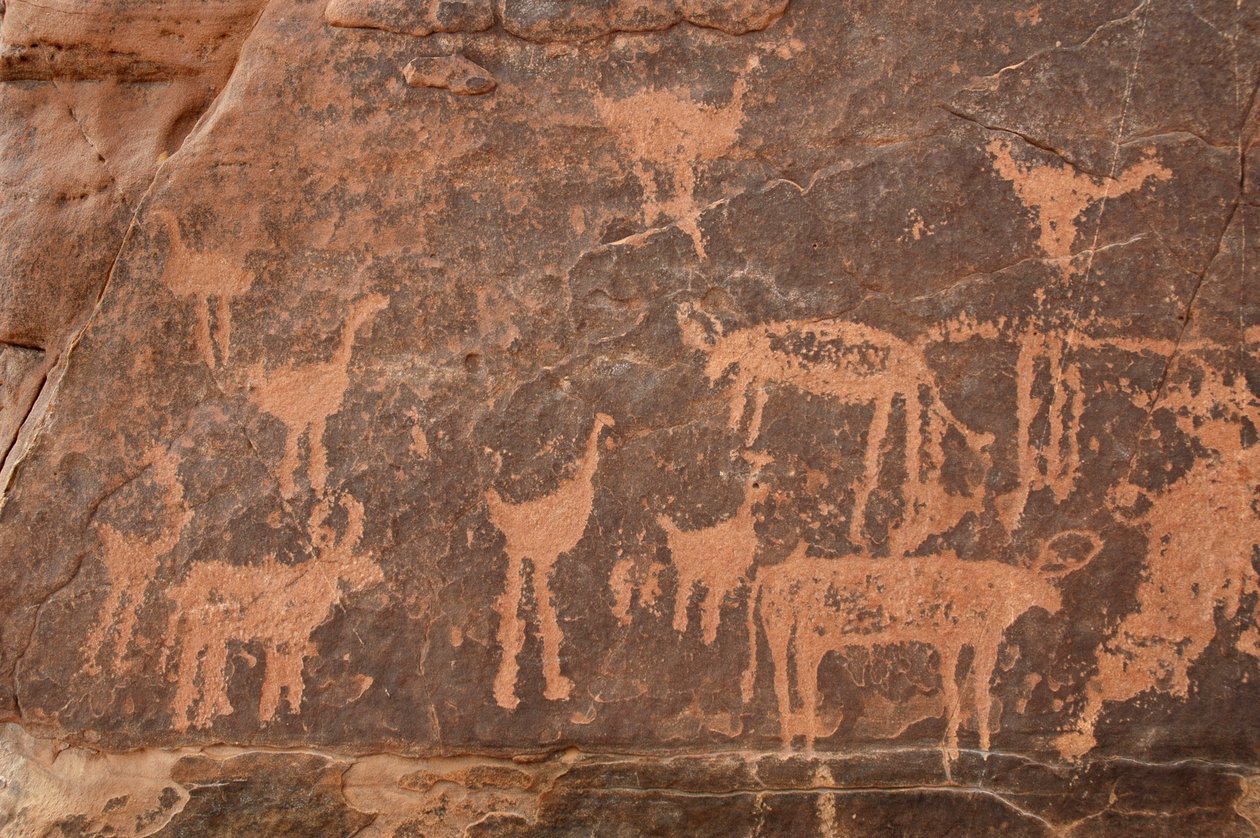 Skalní umění, pravěk: Detail rytiny souboru pštrosů a dobytka v masivu Uweinat, Egypt (období 8000 až 3000 let před naším letopočtem). Fotografování od Unbekannt