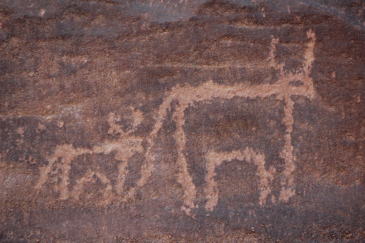 Skalní umění, Prehistorie: Rytina krávy a jejího tele v masivu Uweinat, Egypt. (Období od 8000 do 3000 let před naším letopočtem). Fotografování od Unbekannt