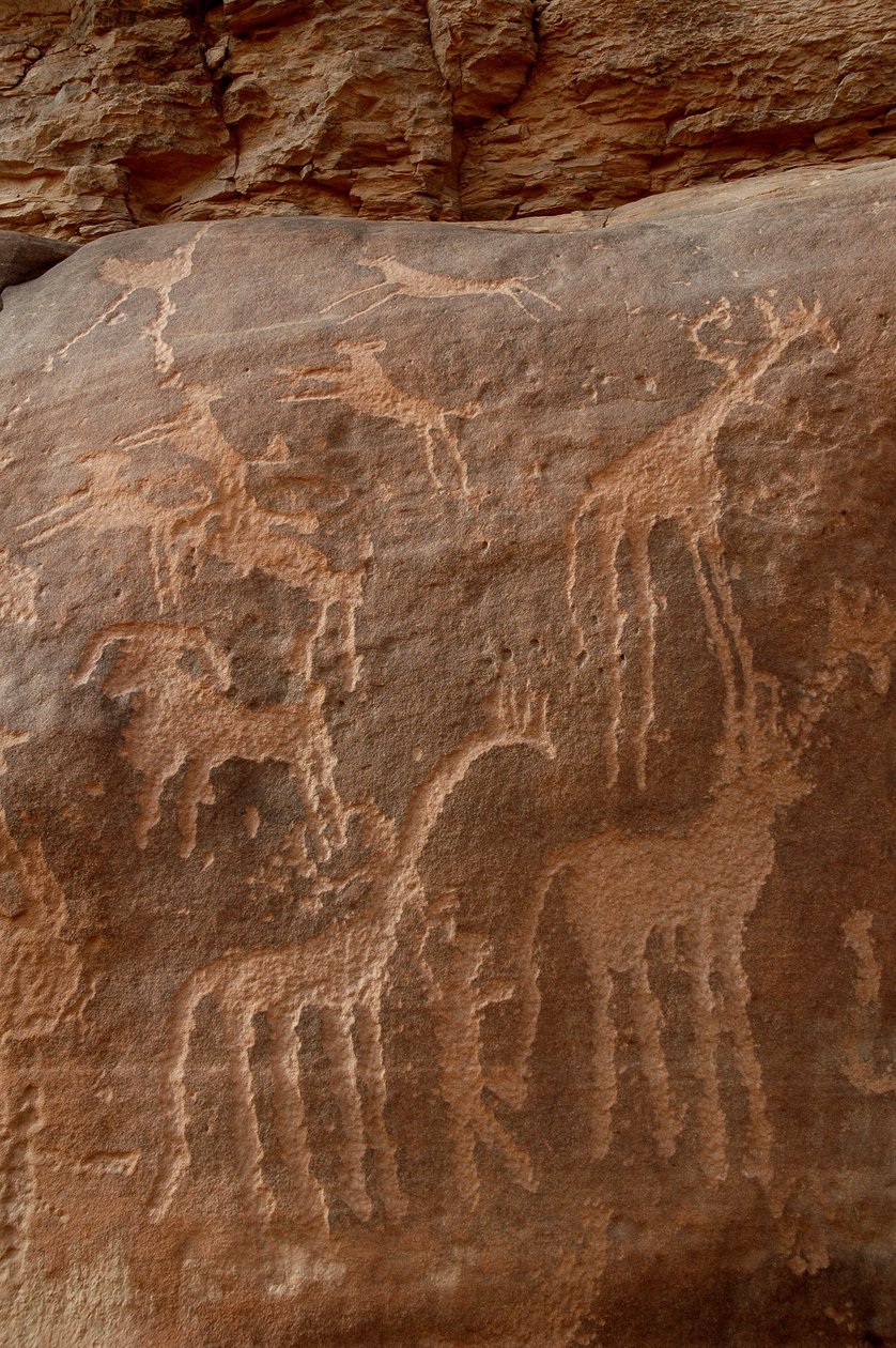 Skalní umění, Prehistorie: Rytina žiraf, pštrosů, ovcí, psa a postav v masivu Uweinat, Súdán (Karkur-Talh nebo Karkur Talh). Období od 8000 do 3000 let před naším letopočtem. Fotografování od Unbekannt