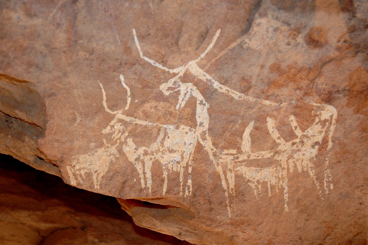 Skalní umění, prehistorie: Skalní malba skotu s velkými rohy v přístřešku zdobeném v masivu Uweinat, Súdán (Karkur-Talh nebo Karkur Talh). Období 8000 až 3000 let př. n. l. Fotografie od Unbekannt